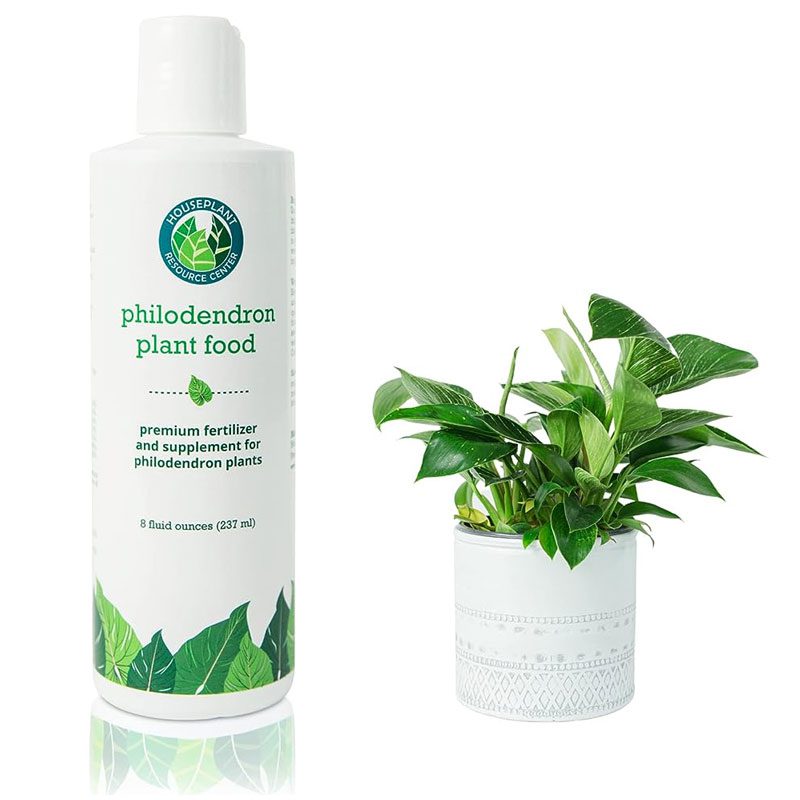 Philodendron Fertilizer