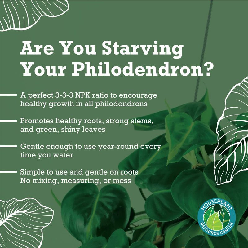 Philodendron Fertilizer