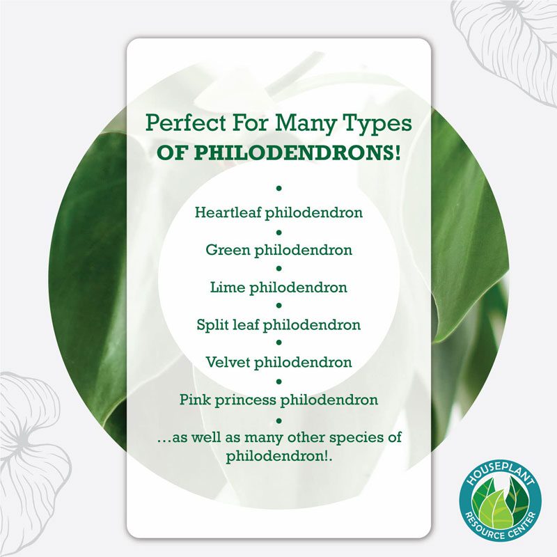 Philodendron Fertilizer