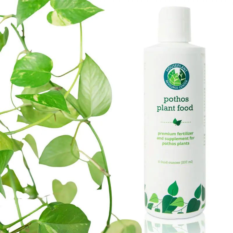 Pothos Fertilizer