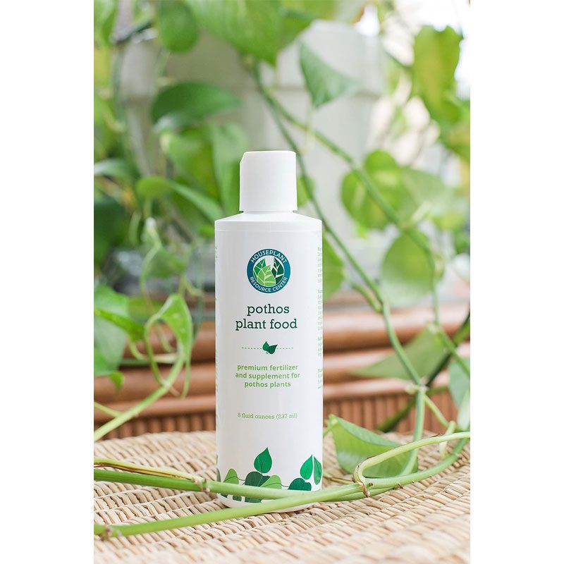 Pothos Fertilizer
