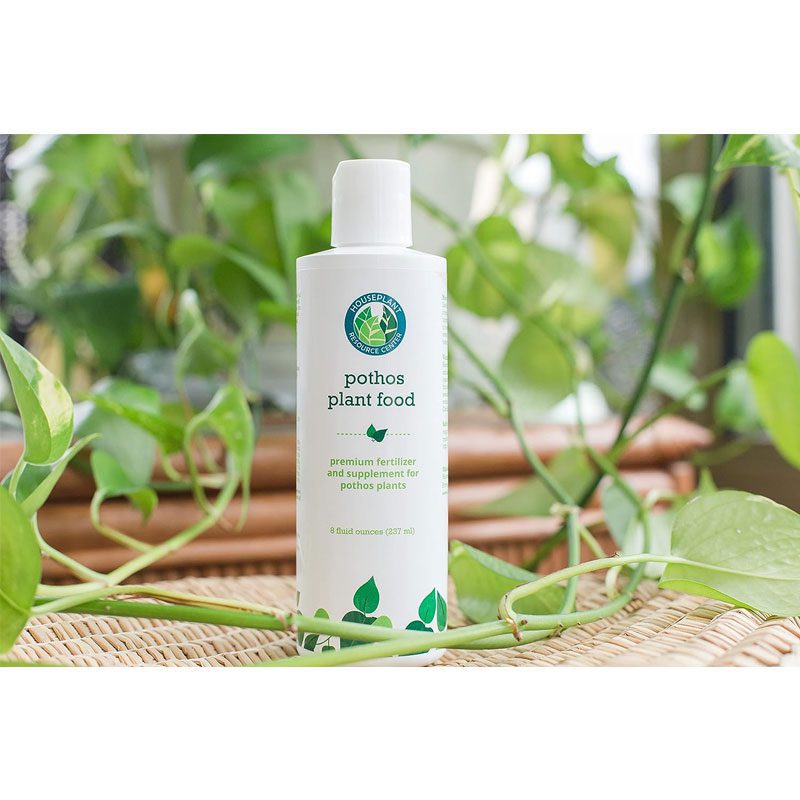 Pothos Fertilizer