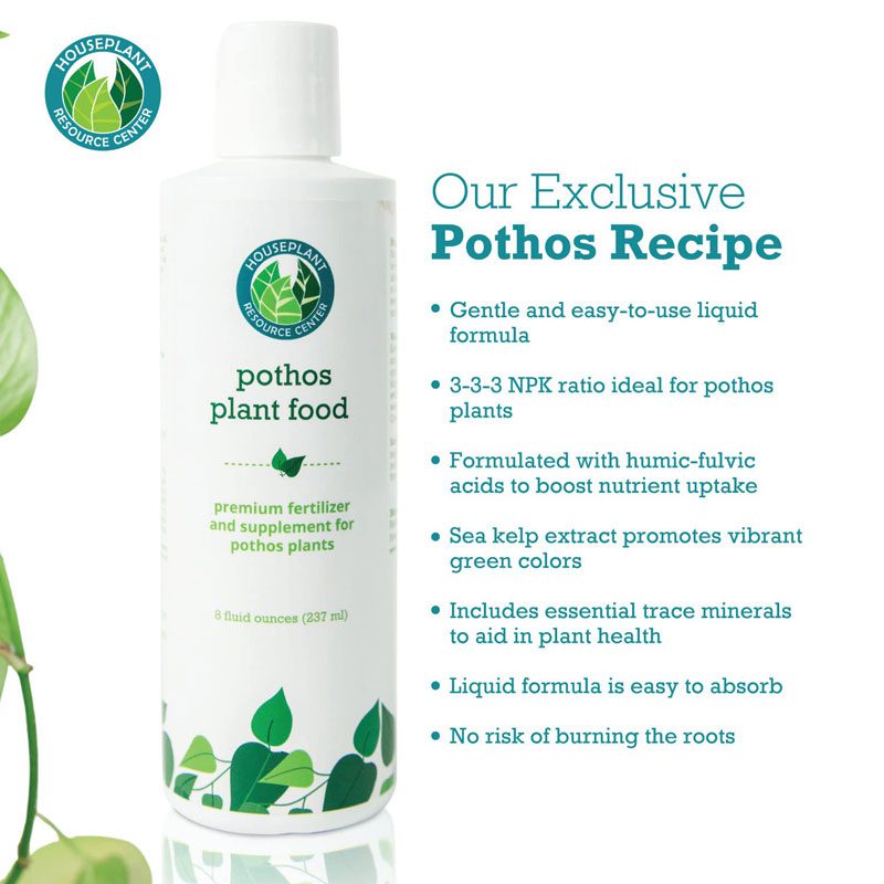 Pothos Fertilizer