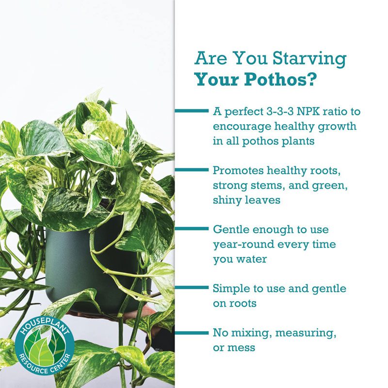 Pothos Fertilizer