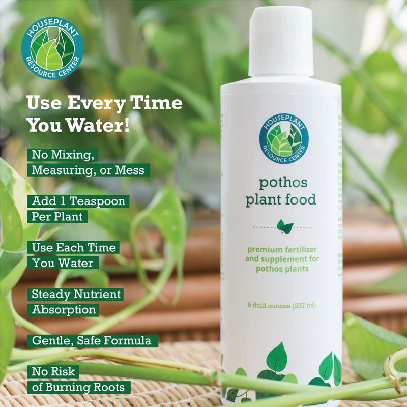 Pothos Fertilizer