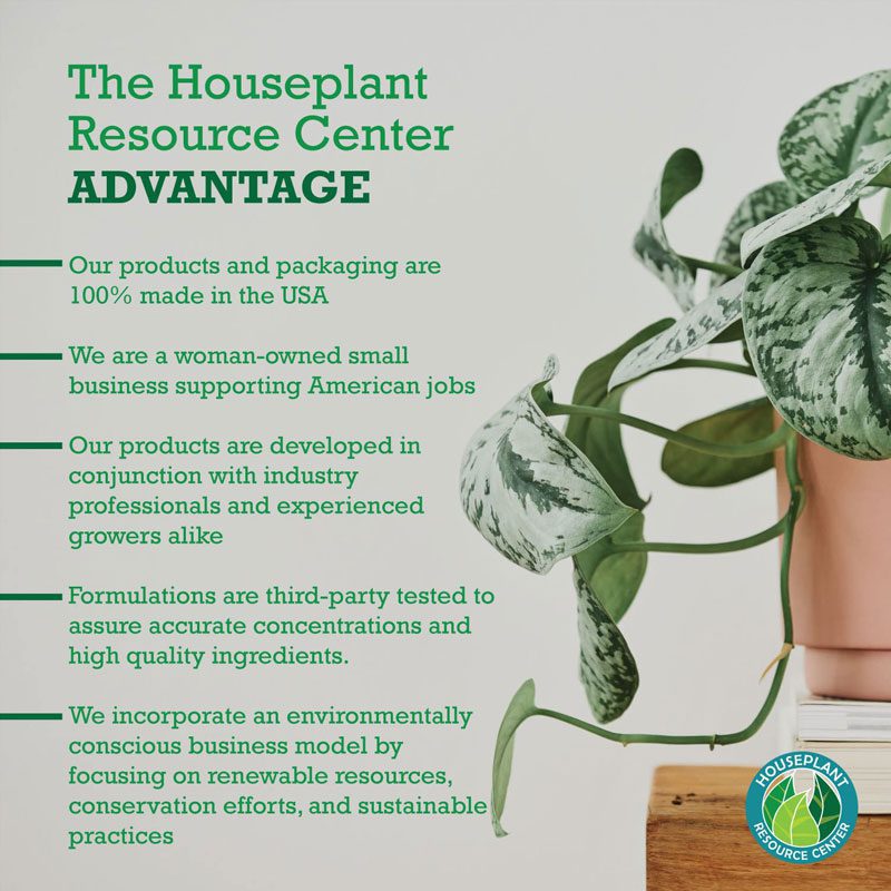 Pothos Fertilizer