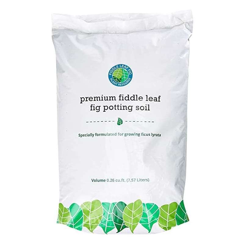 Fiddle Leaf Fig Potting Soil 