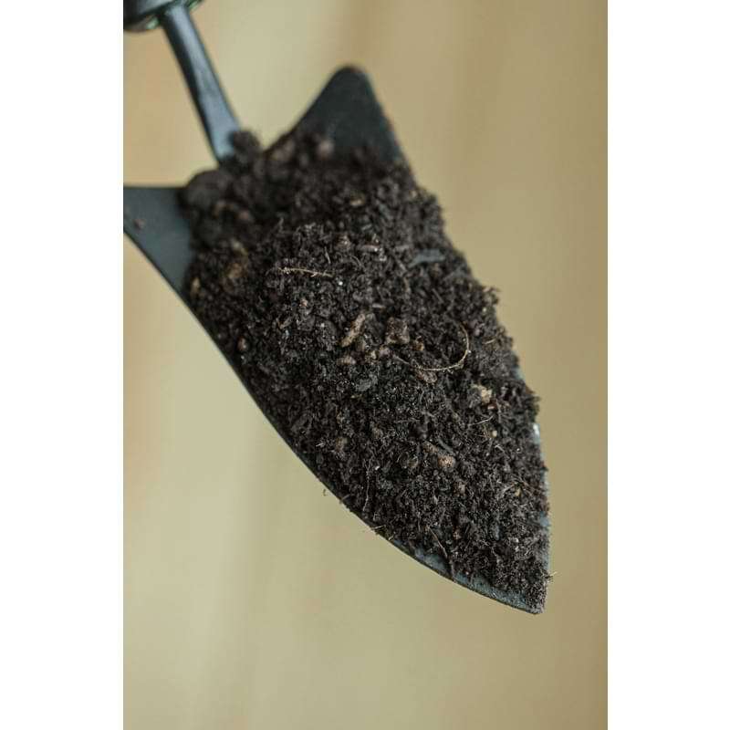 Fiddle Leaf Fig Potting Soil 