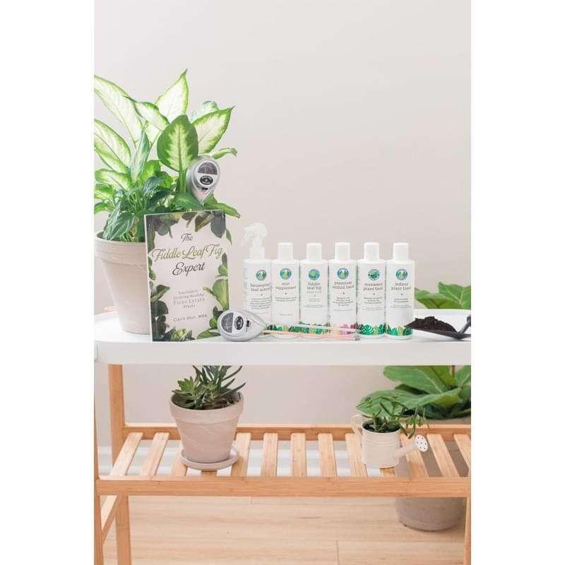 Fiddle Leaf Fig Potting Soil 