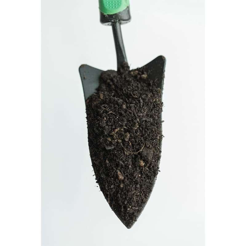 Fiddle Leaf Fig Potting Soil 