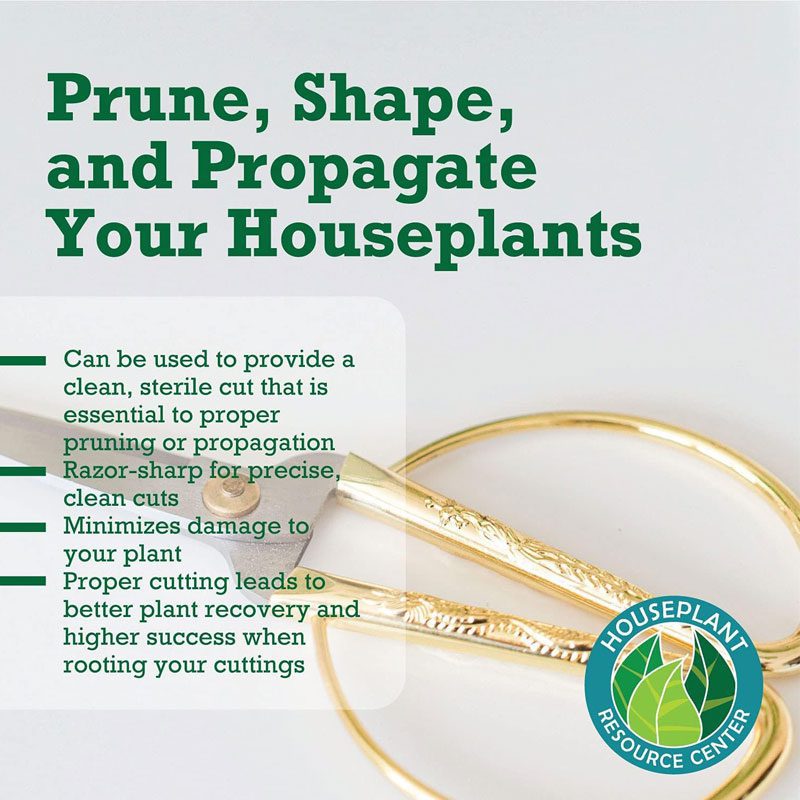 Houseplant Scissors and Pruning Shears 