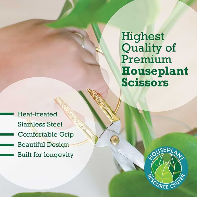Houseplant Scissors and Pruning Shears 