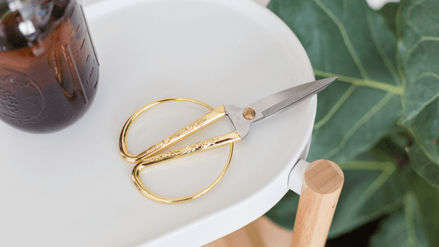 Make someone’s day special with the best Bonsai gifts that offer practical growing assistance and stylish aesthetics.