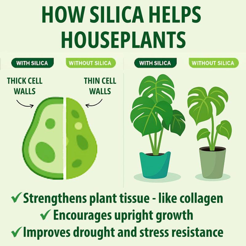 Silica Strength